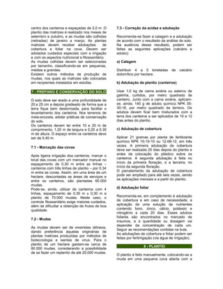 centro dos canteiros e espaçadas de 2,0 m. O
plantio das matrizes é realizado nos meses de
setembro e outubro, e as mudas são colhidas
(retiradas) de janeiro a março. As plantas
matrizes devem receber adubações de
cobertura e foliar na cova. Devem ser
adotados cuidados especiais com a irrigação
e com os aspectos nutricional e fitossanitário.
As mudas colhidas devem ser selecionadas
por tamanho, classificando-as em pequenas,
médias e grandes.
Existem outros métodos de produção de
mudas, nos quais as matrizes são colocadas
em recipientes instalados em estufas.
7 - PREPARO E CONSERVAÇÃO DO SOLO
O solo deve ser arado a uma profundidade de
20 a 25 cm e depois gradeado de forma que a
terra fique bem destorroada, para facilitar o
levantamento dos canteiros. Nos terrenos de
meia-encosta, adotar práticas de conservação
do solo.
Os canteiros devem ter entre 10 e 20 m de
comprimento, 1,20 m de largura e 0,20 a 0,30
m de altura. O espaço entre os canteiros deve
ser de 0,40 m.
7.1 - Marcação das covas
Após ligeira irrigação dos canteiros, marcar o
local das covas com um marcador manual no
espaçamento de 0,30 m entre as linhas –
canteiros com três linhas de plantio – por 0,34
m entre as covas. Assim, em uma área de um
hectare, descontadas as áreas de serviços e
entre os canteiros, são plantadas 60.000
mudas.
Pode-se, ainda, utilizar de canteiros com 4
linhas, espaçamento de 0,30 m x 0,30 m e
plantio de 70.000 mudas. Neste caso, o
controle fitossanitário exige maiores cuidados,
além de dificultar a obtenção de frutos de boa
qualidade.
7.2 - Mudas
As mudas devem ser de viveiristas idôneos,
dando preferência àquelas originárias de
plantas matrizes produzidas por métodos de
biotecnologia e isentas de vírus. Para o
plantio de um hectare gastam-se cerca de
80.000 mudas, considerando a possibilidade
de se fazer um replantio de até 20.000 mudas.
7.3 - Correção da acidez e adubação
Recomenda-se fazer a calagem e a adubação
de acordo com o resultado da análise do solo.
Na ausência desse resultado, podem ser
feitas as seguintes aplicações (calcário e
adubo):
a) Calagem
Distribuir 4 a 5 toneladas de calcário
dolomítico por hectare.
b) Adubação de plantio (canteiros)
Usar 1,0 kg de cama aviária ou esterco de
galinha, curtidos, por metro quadrado de
canteiro. Junto com a cama aviária, aplicam-
se, ainda, 140 g de adubo químico NPK 05-
30-16, por metro quadrado de terreno. Os
adubos devem ficar bem misturados com a
terra dos canteiros e ser aplicados de 10 a 12
dias antes do plantio.
c) Adubação de cobertura
Aplicar 21 gramas por planta de fertilizante
químico NPK 10-10-10 ou 12-06-12, em três
vezes. A primeira adubação de cobertura
deve ser realizada 25 dias depois do plantio e
antes da colocação do plástico sobre os
canteiros. A segunda adubação é feita no
início da primeira floração, e a terceira, no
início da segunda floração.
O parcelamento da adubação de cobertura
pode ser ampliado para até seis vezes, sendo
as aplicações mensais e a partir do plantio.
d) Adubação foliar
Recomenda-se, em complemento à adubação
de cobertura e em caso de necessidade, a
aplicação de uma solução de nutrientes
contendo boro, zinco, cálcio, potássio e
nitrogênio a cada 20 dias. Esses adubos
foliares são encontrados no mercado de
insumos, e a quantidade ou dosagem vai
depender da concentração de cada um.
Seguir as recomendações contidas na bula.
As adubações de cobertura e foliar podem ser
feitas por fertirrigação (via água de irrigação).
8 - PLANTIO
O plantio é feito manualmente, colocando-se a
muda em uma pequena cova aberta com a
 