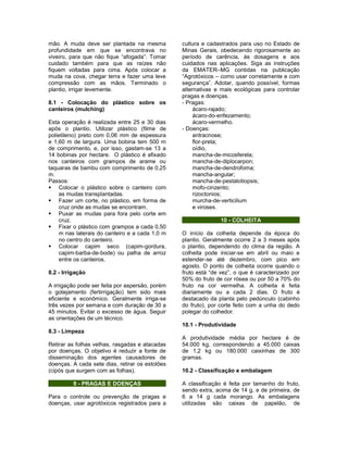 mão. A muda deve ser plantada na mesma
profundidade em que se encontrava no
viveiro, para que não fique “afogada”. Tomar
cuidado também para que as raízes não
fiquem voltadas para cima. Após colocar a
muda na cova, chegar terra e fazer uma leve
compressão com as mãos. Terminado o
plantio, irrigar levemente.
8.1 - Colocação do plástico sobre os
canteiros (mulching)
Esta operação é realizada entre 25 e 30 dias
após o plantio. Utilizar plástico (filme de
polietileno) preto com 0,06 mm de espessura
e 1,60 m de largura. Uma bobina tem 500 m
de comprimento, e, por isso, gastam-se 13 a
14 bobinas por hectare. O plástico é afixado
nos canteiros com grampos de arame ou
taquaras de bambu com comprimento de 0,25
m.
Passos:
 Colocar o plástico sobre o canteiro com
as mudas transplantadas.
 Fazer um corte, no plástico, em forma de
cruz onde as mudas se encontram.
 Puxar as mudas para fora pelo corte em
cruz.
 Fixar o plástico com grampos a cada 0,50
m nas laterais do canteiro e a cada 1,0 m
no centro do canteiro.
 Colocar capim seco (capim-gordura,
capim-barba-de-bode) ou palha de arroz
entre os canteiros.
8.2 - Irrigação
A irrigação pode ser feita por aspersão, porém
o gotejamento (fertirrigação) tem sido mais
eficiente e econômico. Geralmente irriga-se
três vezes por semana e com duração de 30 a
45 minutos. Evitar o excesso de água. Seguir
as orientações de um técnico.
8.3 - Limpeza
Retirar as folhas velhas, rasgadas e atacadas
por doenças. O objetivo é reduzir a fonte de
disseminação dos agentes causadores de
doenças. A cada sete dias, retirar os estolões
(cipós que surgem com as folhas).
9 - PRAGAS E DOENÇAS
Para o controle ou prevenção de pragas e
doenças, usar agrotóxicos registrados para a
cultura e cadastrados para uso no Estado de
Minas Gerais, obedecendo rigorosamente ao
período de carência, às dosagens e aos
cuidados nas aplicações. Siga as instruções
da EMATER–MG contidas na publicação
“Agrotóxicos – como usar corretamente e com
segurança”. Adotar, quando possível, formas
alternativas e mais ecológicas para controlar
pragas e doenças.
- Pragas:
ácaro-rajado;
ácaro-do-enfezamento;
ácaro-vermelho.
- Doenças:
antracnose;
flor-preta;
oídio,
mancha-de-micosferela;
mancha-de-diplocarpon;
mancha-de-dendrofoma;
mancha-angular;
mancha-de-pestalotiopsis;
mofo-cinzento;
rizoctonios;
murcha-de-verticilium
e viroses.
10 - COLHEITA
O início da colheita depende da época do
plantio. Geralmente ocorre 2 a 3 meses após
o plantio, dependendo do clima da região. A
colheita pode iniciar-se em abril ou maio e
estender-se até dezembro, com pico em
agosto. O ponto de colheita ocorre quando o
fruto está “de vez”, o que é caracterizado por
50% do fruto de cor rósea ou por 50 a 70% do
fruto na cor vermelha. A colheita é feita
diariamente ou a cada 2 dias. O fruto é
destacado da planta pelo pedúnculo (cabinho
do fruto), por corte feito com a unha do dedo
polegar do colhedor.
10.1 - Produtividade
A produtividade média por hectare é de
54.000 kg, correspondendo a 45.000 caixas
de 1,2 kg ou 180.000 caixinhas de 300
gramas.
10.2 - Classificação e embalagem
A classificação é feita por tamanho do fruto,
sendo extra, acima de 14 g, e de primeira, de
6 a 14 g cada morango. As embalagens
utilizadas são caixas de papelão, de
 
