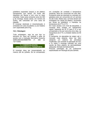 polietileno expandido (isopor) e de plástico
transparente com tampa. Os frutos são
dispostos em fileiras e com uma ou duas
camadas. Cada caixa comporta cerca de 300
g de morango. Essas caixas, em número de
quatro, são colocadas em uma caixa de
papelão.
O morango destinado à industrialização é
embalado em caixa de plástico ou de madeira
com capacidade para 5 kg.
10.3 - Rotulagem
Toda embalagem, seja de que tipo ou
tamanho for, deve ser rotulada e estar de
acordo com a Instrução Normativa Conjunta
SARC/ANVISA/INMETRO nº. 009 de
12/11/2002.
11. COMERCIALIZAÇÃO,
ARMAZENAMENTO E TRANSPORTE
O morango deve ser comercializado no
mesmo dia da colheita. Se for armazenado
em condições de umidade e temperatura
ambiente, deve ser consumido em dois dias.
Entretanto pode ser estocado ou colocado em
geladeira para ser consumido em um período
de até 5 dias. Neste caso, os frutos devem ser
embalados em caixas de plástico, envolvidas
por filmes de polietileno, e mantidos na
temperatura de 0 ºC a 5 ºC.
Em maior escala e em nível de atacadista, o
morango deve receber um resfriamento
rápido, passando de 25 ºC para 5 ºC e ser
armazenado a frio por cerca de cinco dias, na
temperatura de 0 ºC e umidade relativa de 90
a 95%.
O transporte, do atacadista de origem até o
mercado mais distante, deve ser feito
adotando um sistema de atmosfera
modificada, que consiste na aplicação de CO2
e O2 sobre o morango colocado em uma
sacola de filme plástico de permeabilidade
adequada, fechada hermeticamente.
Procurar orientação de um profissional
especializado em fisiologia de pós-colheita.
 