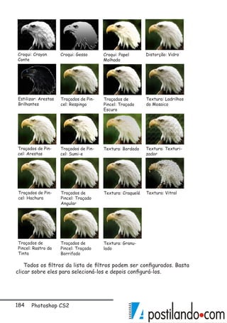 184 Photoshop CS2
Todos os filtros da lista de filtros podem ser configurados. Basta
clicar sobre eles para selecioná-los e depois configurá-los.
Croqui: Crayon
Conte
Distorção: VidroCroqui: Papel
Molhado
Croqui: Gesso
Estilizar: Arestas
Brilhantes
Textura: Ladrilhos
do Mosaico
Traçados de
Pincel: Traçado
Escuro
Traçados de Pin-
cel: Respingo
Traçados de Pin-
cel: Arestas
Textura: Texturi-
zador
Textura: BordadoTraçados de Pin-
cel: Sumi-e
Traçados de Pin-
cel: Hachura
Textura: VitralTextura: CraqueléTraçados de
Pincel: Traçado
Angular
Traçados de
Pincel: Rastro da
Tinta
Textura: Granu-
lado
Traçados de
Pincel: Traçado
Borrifado
 