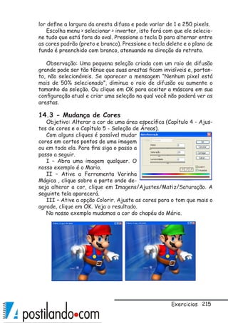 215
lor define a largura da aresta difusa e pode variar de 1 a 250 pixels.
Escolha menu  selecionar  inverter, isto fará com que ele selecio-
ne tudo que está fora do oval. Pressione a tecla D para alternar entre
as cores padrão (preto e branco). Pressione a tecla delete e o plano de
fundo é preenchido com branco, atenuando na direção do retrato.
Observação: Uma pequena seleção criada com um raio de difusão
grande pode ser tão tênue que suas arestas ficam invisíveis e, portan-
to, não selecionáveis. Se aparecer a mensagem “Nenhum pixel está
mais de 50% selecionado”, diminua o raio de difusão ou aumente o
tamanho da seleção. Ou clique em OK para aceitar a máscara em sua
configuração atual e criar uma seleção na qual você não poderá ver as
arestas.
14.3 - Mudança de Cores
Objetivo: Alterar a cor de uma área específica (Capítulo 4 - Ajus-
tes de cores e o Capítulo 5 - Seleção de Áreas).
Com alguns cliques é possível mudar
cores em certos pontos de uma imagem
ou em toda ela. Para fins siga o passo a
passo a seguir.
I – Abra uma imagem qualquer. O
nosso exemplo é o Mario.
II – Ative a Ferramenta Varinha
Mágica , clique sobre a parte onde de-
seja alterar a cor, clique em Imagens/Ajustes/Matiz/Saturação. A
seguinte tela aparecerá.
III – Ative a opção Colorir. Ajuste as cores para o tom que mais o
agrade, clique em OK. Veja o resultado.
No nosso exemplo mudamos a cor do chapéu do Mário.
Exercicios
 