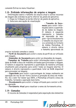 28 Photoshop CS2
comando Extras no menu Visualizar.
1.8- Exibindo informações de arquivo e imagem
Informações sobre o tamanho do arquivo atual e outros recursos
da imagem são exibidas na parte inferior da janela do aplicativo.
1. Clique no triângulo na borda inferior da janela do aplicativo.
2. Selecione uma opção de visualização:
• Tamanho do Docu-
mento para exibir infor-
mações sobre a quantida-
de de dados na imagem.
O número à esquerda
representa o tamanho
de impressão da ima-
gem—aproximadamente
o tamanho do arquivo sal-
vo e achatado no formato
do Adobe Photoshop. O
número à direita indica
o tamanho aproximado do
arquivo incluindo camadas e canais.
• Perfil do Documento para exibir o nome do perfil de cor utilizado
pela imagem.
• Dimensões do Documento para exibir as dimensões da imagem.
•Tamanhos do Trabalho para exibir informações sobre a quanti-
dade de RAM e disco de trabalho utilizados para processar a imagem.
O número à esquerda representa a quantidade de memória utilizada
atualmente pelo programa para exibir todas as imagens abertas. O
número à direita representa a quantidade total de RAM disponível
para processar as imagens.
• Capacidade para exibir a porcentagem de tempo realmente em
operação em vez de ser feita a leitura e gravação do disco de traba-
lho. Se o valor for menor que 100%, o Photoshop utilizará o disco de
trabalho, tornando a operação mais lenta.
• Encadeamento para exibir o tempo utilizado para concluir a últi-
ma operação.
• Ferramenta Atual para visualizar o nome da ferramenta ativa.
1.9- Camadas
O recurso de Camadas é responsável pela separação dos elementos
 