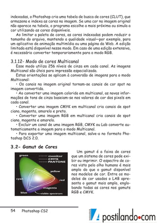 54 Photoshop CS2
indexadas, o Photoshop cria uma tabela de busca de cores (CLUT), que
armazena e indexa as cores na imagem. Se uma cor na imagem original
não aparece na tabela, o programa escolhe a mais próxima ou simula a
cor utilizando as cores disponíveis.
Ao limitar a paleta de cores, as cores indexadas podem reduzir o
tamanho do arquivo, mantendo a qualidade visual—por exemplo, para
um aplicativo de animação multimídia ou uma página da Web. A edição
limitada está disponível nesse modo. Em caso de uma edição extensiva,
é necessário converter temporariamente para o modo RGB.
3.1.12- Modo de cores Multicanal
Esse modo utiliza 256 níveis de cinza em cada canal. As imagens
Multicanal são úteis para impressão especializada.
Estas orientações se aplicam à conversão de imagens para o modo
Multicanal:
• Os canais na imagem original tornam-se canais de cor spot na
imagem convertida.
• Ao converter uma imagem colorida em multicanal, as novas infor-
mações de tons de cinza baseiam-se nos valores de cor dos pixels em
cada canal.
• Converter uma imagem CMYK em multicanal cria canais de spot
ciano, magenta, amarelo e preto.
• Converter uma imagem RGB em multicanal cria canais de spot
ciano, magenta e amarelo.
• Excluir um canal de uma imagem RGB, CMYK ou Lab converte au-
tomaticamente a imagem para o modo Multicanal.
• Para exportar uma imagem multicanal, salve-a no formato Pho-
toshop DCS 2.0.
3.2- Gamut de Cores
Um gamut é a faixa de cores
que um sistema de cores pode exi-
bir ou imprimir. O espectro de co-
res visto pelo olho humano é mais
amplo do que o gamut disponível
nos modelos de cor. Entre os mo-
delos de cor usados o LAB apre-
senta o gamut mais amplo, englo-
bando todas as cores nos gamuts
RGB e CMYK.
 