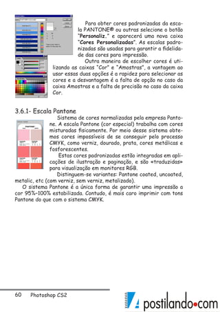 60 Photoshop CS2
Para obter cores padronizadas da esca-
la PANTONE® ou outras selecione o botão
“Personaliz.” e aparecerá uma nova caixa
“Cores Personalizadas”. As escalas padro-
nizadas são usadas para garantir a fidelida-
de das cores para impressão.
Outra maneira de escolher cores é uti-
lizando as caixas “Cor” e “Amostras”, a vantagem ao
usar essas duas opções é a rapidez para selecionar as
cores e a desvantagem é a falta de opção no caso da
caixa Amostras e a falta de precisão no caso da caixa
Cor.
3.6.1- Escala Pantone
Sistema de cores normalizadas pela empresa Panto-
ne. A escala Pantone (cor especial) trabalha com cores
misturadas fisicamente. Por meio desse sistema obte-
mos cores impossíveis de se conseguir pelo processo
CMYK, como verniz, dourado, prata, cores metálicas e
fosforescentes.
Estas cores padronizadas estão integradas em apli-
cações de ilustração e paginação, e são «traduzidas»
para visualização em monitores RGB.
Distinguem-se variantes: Pantone coated, uncoated,
metalic, etc (com verniz, sem verniz, metalizado).
O sistema Pantone é a única forma de garantir uma impressão a
cor 95%–100% estabilizada. Contudo, é mais caro imprimir com tons
Pantone do que com o sistema CMYK.
 