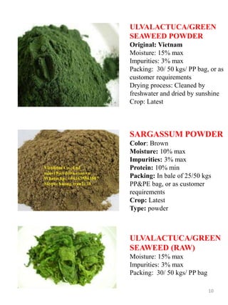 ULVALACTUCA/GREEN
SEAWEED POWDER
Original: Vietnam
Moisture: 15% max
Impurities: 3% max
Packing: 30/ 50 kgs/ PP bag, or as
customer requirements
Drying process: Cleaned by
freshwater and dried by sunshine
Crop: Latest
SARGASSUM POWDER
Color: Brown
Moisture: 10% max
Impurities: 3% max
Protein: 10% min
Packing: In bale of 25/50 kgs
PP&PE bag, or as customer
requirements
Crop: Latest
Type: powder
ULVALACTUCA/GREEN
SEAWEED (RAW)
Moisture: 15% max
Impurities: 3% max
Packing: 30/ 50 kgs/ PP bag
10
 