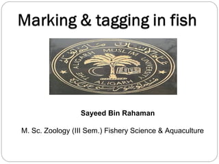 Sayeed Bin Rahaman
M. Sc. Zoology (III Sem.) Fishery Science & Aquaculture
 