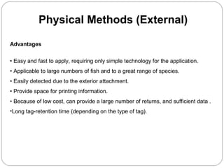 Physical Methods (External)
Advantages
• Easy and fast to apply, requiring only simple technology for the application.
• Applicable to large numbers of fish and to a great range of species.
• Easily detected due to the exterior attachment.
• Provide space for printing information.
• Because of low cost, can provide a large number of returns, and sufficient data .
•Long tag-retention time (depending on the type of tag).
 