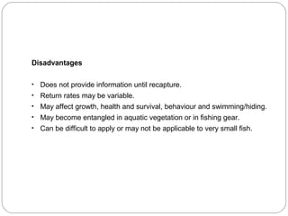 Disadvantages
• Does not provide information until recapture.
• Return rates may be variable.
• May affect growth, health and survival, behaviour and swimming/hiding.
• May become entangled in aquatic vegetation or in fishing gear.
• Can be difficult to apply or may not be applicable to very small fish.
 