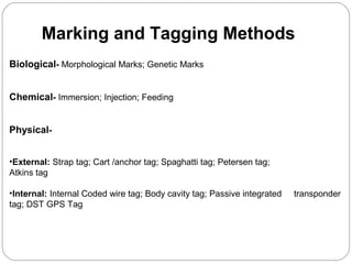 Biological- Morphological Marks; Genetic Marks
Chemical- Immersion; Injection; Feeding
Physical-
•External: Strap tag; Cart /anchor tag; Spaghatti tag; Petersen tag;
Atkins tag
•Internal: Internal Coded wire tag; Body cavity tag; Passive integrated transponder
tag; DST GPS Tag
Marking and Tagging Methods
 