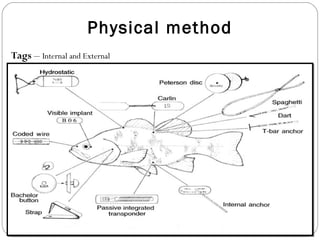 Physical method
Tags – Internal and External
 