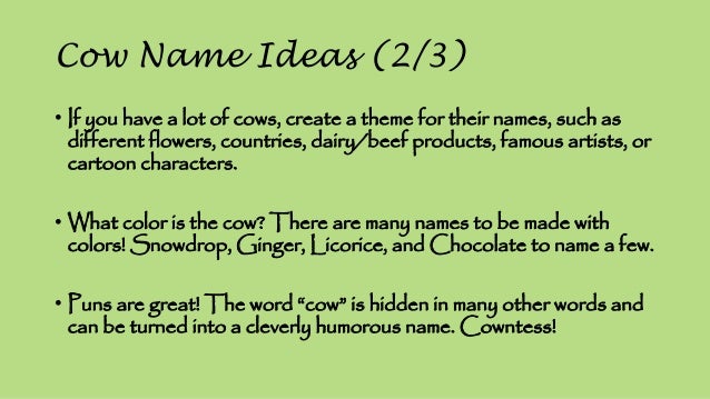 Cow Name Cow Name