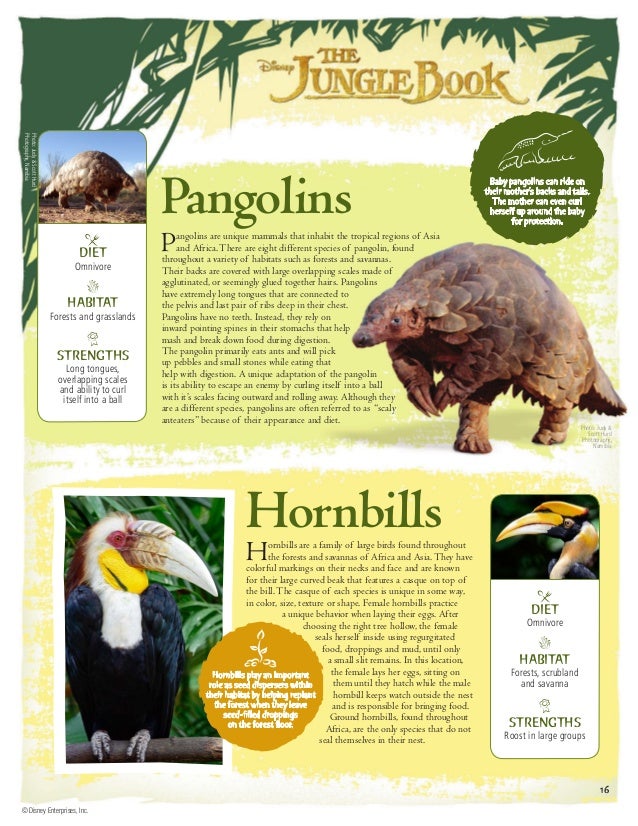 The Jungle Book Ed Guide