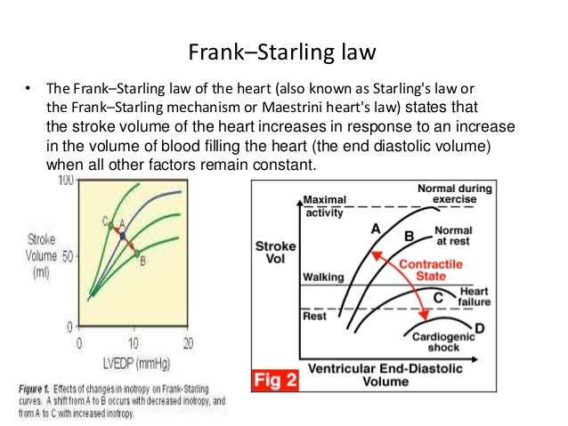frank staling law Ernest starling became a medical student at guy's hospital, london, in 1882 (when he was 16) so it became the frank-starling law world war i . frank staling law Ernest starling became a medical student at guy's hospital, london, in 1882 (when he was 16) so it became the frank-starling law world war i .
