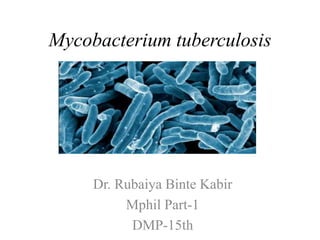Mycobacterium tuberculosis
Dr. Rubaiya Binte Kabir
Mphil Part-1
DMP-15th
 