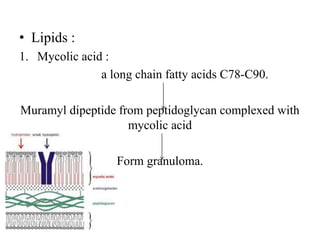 • Lipids :
1. Mycolic acid :
a long chain fatty acids C78-C90.
Muramyl dipeptide from peptidoglycan complexed with
mycolic acid
Form granuloma.
 