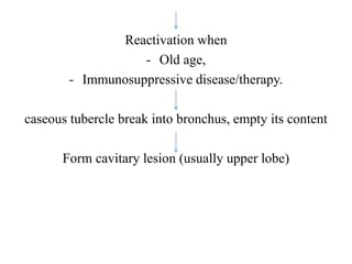 Reactivation when
- Old age,
- Immunosuppressive disease/therapy.
caseous tubercle break into bronchus, empty its content
Form cavitary lesion (usually upper lobe)
 