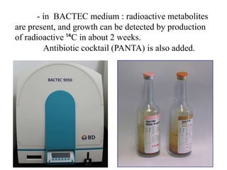 - in BACTEC medium : radioactive metabolites
are present, and growth can be detected by production
of radioactive ¹⁴C in about 2 weeks.
Antibiotic cocktail (PANTA) is also added.
 