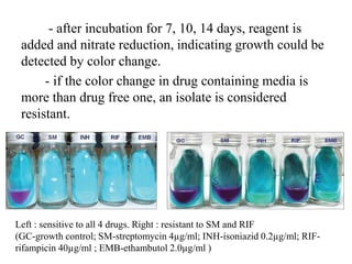 - after incubation for 7, 10, 14 days, reagent is
added and nitrate reduction, indicating growth could be
detected by color change.
- if the color change in drug containing media is
more than drug free one, an isolate is considered
resistant.
Left : sensitive to all 4 drugs. Right : resistant to SM and RIF
(GC-growth control; SM-streptomycin 4µg/ml; INH-isoniazid 0.2µg/ml; RIF-
rifampicin 40µg/ml ; EMB-ethambutol 2.0µg/ml )
 