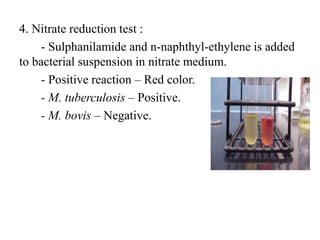4. Nitrate reduction test :
- Sulphanilamide and n-naphthyl-ethylene is added
to bacterial suspension in nitrate medium.
- Positive reaction – Red color.
- M. tuberculosis – Positive.
- M. bovis – Negative.
 