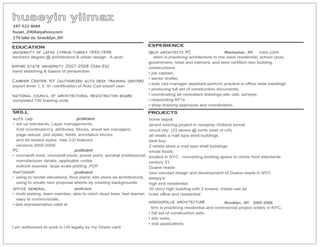 RESUME without color