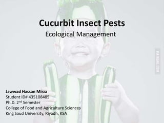 Cucurbit Insect Pests
Ecological Management
Jawwad Hassan Mirza
Student ID# 435108485
Ph.D. 2nd Semester
College of Food and Agriculture Sciences
King Saud University, Riyadh, KSA
 