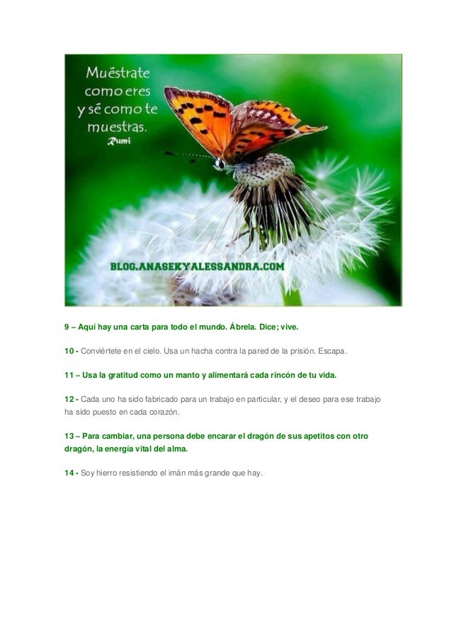 75 frases de Rumi 75 frases de Rumi