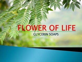 GLYCERIN SOAPS
 