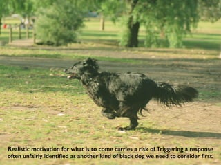 Realistic motivation for what is to come carries a risk of Triggering a response
often unfairly identified as another kind of black dog we need to consider first.
 