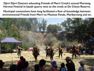 Djirri Djirri Dancers educating Friends of Merri Creek’s annual Murnong
Harvest Festival in basalt quarry next to the creek at De Chene Reserve.
Municipal connections have long facilitated a flow of knowledge between
environmental Friends from Merri to Moonee Ponds, Maribyrnong and on.
 