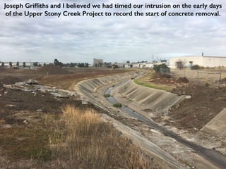 Joseph Griffiths and I believed we had timed our intrusion on the early days
of the Upper Stony Creek Project to record the start of concrete removal.
 