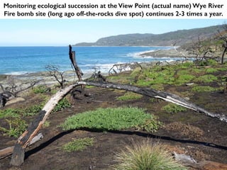 Monitoring ecological succession at the View Point (actual name) Wye River
Fire bomb site (long ago off-the-rocks dive spot) continues 2-3 times a year.
 