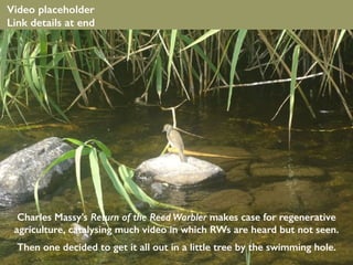 Charles Massy’s Return of the Reed Warbler makes case for regenerative
agriculture, catalysing much video in which RWs are heard but not seen.
Then one decided to get it all out in a little tree by the swimming hole.
Video placeholder
Link details at end
 