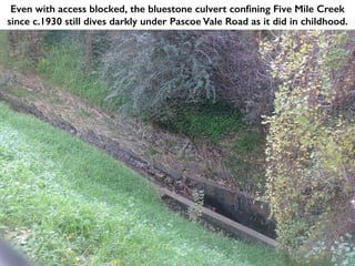 Even with access blocked, the bluestone culvert confining Five Mile Creek
since c.1930 still dives darkly under Pascoe Vale Road as it did in childhood.
 
