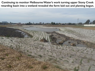 Continuing to monitor Melbourne Water’s work turning upper Stony Creek
retarding basin into a wetland revealed the form laid out and planting begun.
 