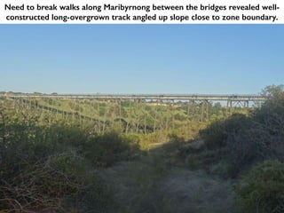 Need to break walks along Maribyrnong between the bridges revealed well-
constructed long-overgrown track angled up slope close to zone boundary.
 