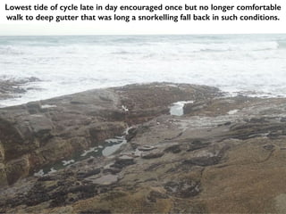 Lowest tide of cycle late in day encouraged once but no longer comfortable
walk to deep gutter that was long a snorkelling fall back in such conditions.
 