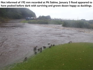 Not informed of 192 mm recorded at Mt Sabine, January 3 flood appeared to
have peaked before dark with surviving and grown dozen happy as ducklings.
 