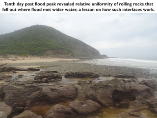 Tenth day post flood peak revealed relative uniformity of rolling rocks that
fell out where flood met wider water, a lesson on how such interfaces work.
 