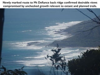 Newly marked route to Mt Defiance back ridge confirmed desirable views
compromised by unchecked growth relevant to extant and planned trails.
 