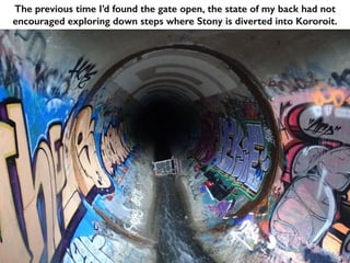 The previous time I’d found the gate open, the state of my back had not
encouraged exploring down steps where Stony is diverted into Kororoit.
 