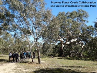 Moonee Ponds Creek Collaboration
site visit to Woodlands Historic Park
 