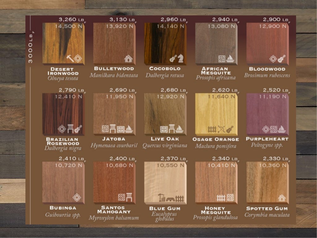 75 Types of Wood Ranked by Hardness and How They Are Used