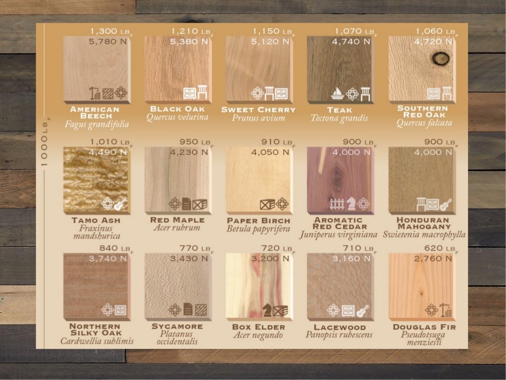 75 Types of Wood Ranked by Hardness and How They Are Used