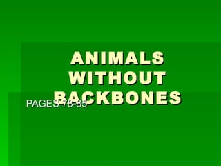 ANIMALS WITHOUT BACKBONES PAGES 78-85 