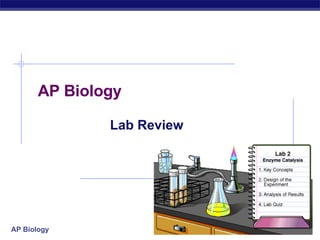 AP Biology Lab Review 