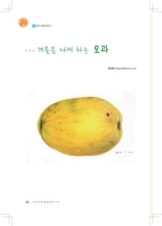 희깅의 자연이야기




▶ ▶ ▶   겨울을 나게 하는 모과
                         강서희 heegingi@naver.com




42   다음에게 물려줄 맑은세상 이야기
 