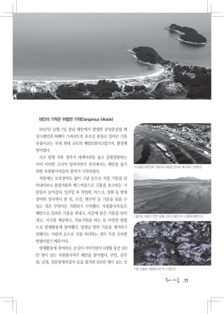 태안의 기적은 위험한 기적(Dangerous Miracle)

 2007년 12월 7일 충남 태안에서 발생한 삼성중공업 해
상크레인과 허베이 스피리트호 유조선 충돌로 일어난 기름
유출사고는 국내 최대 규모의 해양오염사고였으며, 환경재
앙이었다.
 사고 발생 직후 정부가 대책마련을 놓고 갈팡질팡하는
사이 이러한 소식이 알려지면서 전국에서는 태안을 돕기
                                     사고발생 하루만에 기름으로 뒤덮힌 만리포 해수욕장 ⓒ태안군
위한 자원봉사자들의 참여가 시작되었다.
 처음에는 보호장비도 없이 그냥 손으로 직접 기름을 닦
아내다보니 울렁거림과 매스꺼움으로 고통을 호소하는 사
람들이 늘어갔다. 일주일 후 작업복, 마스크, 장화 등 방제
장비와 전국에서 헌 옷, 수건, 현수막 등 기름을 닦을 수
있는 것은 무엇이든 지원되기 시작했다. 자원봉사자들은
해안으로 밀려온 기름을 퍼내고, 자갈에 묻은 기름을 닦아
                                     기름으로 뒤덮인 천연기념물 신두리 해안사구 ⓒ생태지평연구소
내고, 식사를 제공하고, 의료지원을 하는 등 다양한 방법
으로 방제활동에 참여했다. 엄청난 양의 기름을 제거하기
위해서는 사람의 손으로 직접 처리하는 것이 가장 신속한
방법이었기 때문이다.
 방제활동에 참여하는 손길이 이어지면서 6개월 동안 130
만 명이 넘는 자원봉사자가 태안을 찾아왔다. 주민, 공무
원, 군경, 전문방제작업자 등을 합치면 200만 명이 넘는 인
                                     기름 유출로 대량폐사한 쏙 ⓒ태안군


                                                            71
 