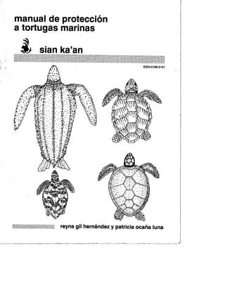 Manual de protección a Tortugas Marinas 