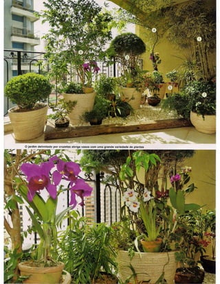 Revista Natureza - Ed. Europa- Ed. 279/Abril 2011 