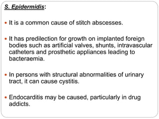 S. Epidermidis:
 It is a common cause of stitch abscesses.
 It has predilection for growth on implanted foreign
bodies such as artificial valves, shunts, intravascular
catheters and prosthetic appliances leading to
bacteraemia.
 In persons with structural abnormalities of urinary
tract, it can cause cystitis.
 Endocarditis may be caused, particularly in drug
addicts.
 